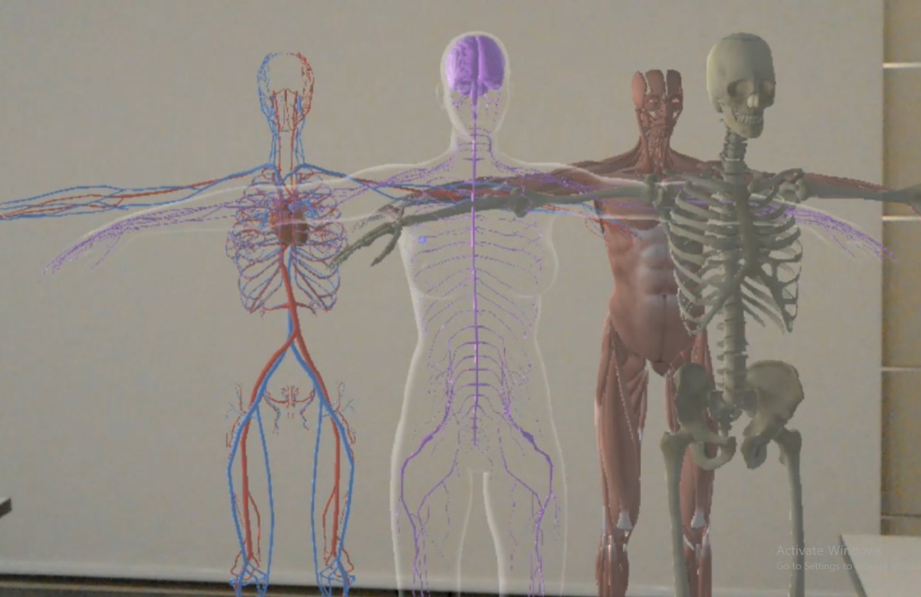 K12 Anatomy